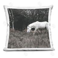 Amy Brinkman | Mysterious White Horse Country Rural Nature