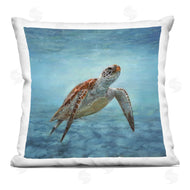 Dave Stribbling | Underwater Turtle Deep Ocean