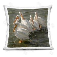David Lorenz | Seaside Pelicans Preening