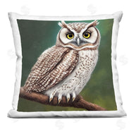 Alpenglow Workshop | Owl Wildlife Nature Scene