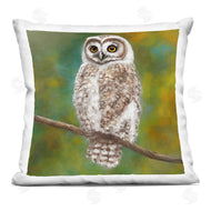 Alpenglow Workshop | Graceful Owl Perched Nature