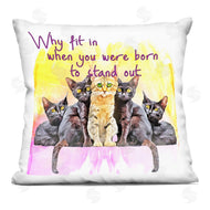Kim Curinga | Why Fit In Individuality Cats Phrase
