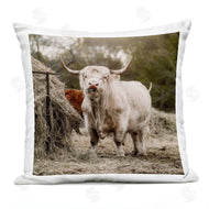 Dakota Diener | Rural Farm Cattle Longhorn