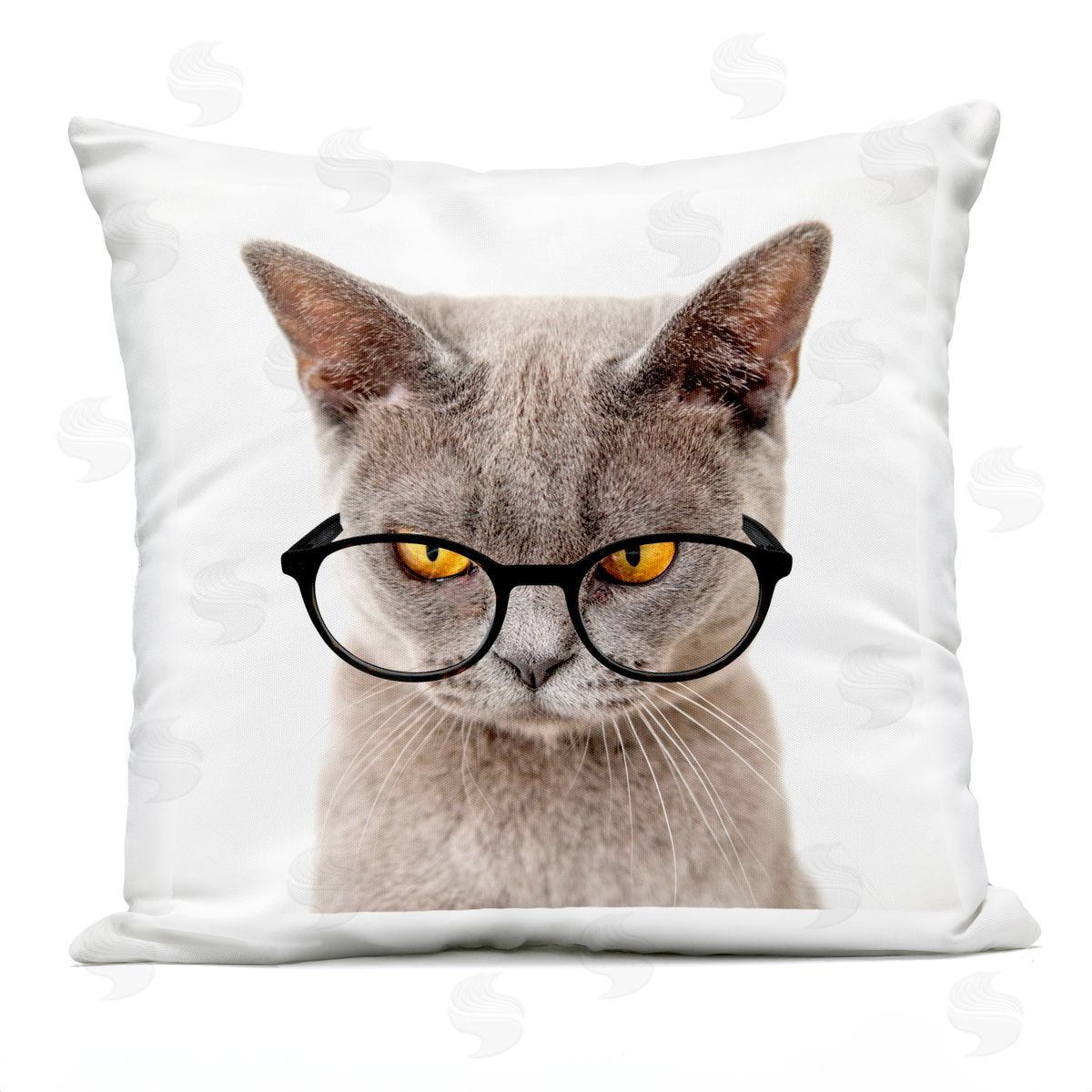 Fun Cat Yellow Eyes Glasses Outdoor Printed Pillow, Home Decor by Karen Smith