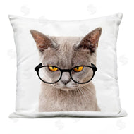 Karen Smith | Fun Cat Yellow Eyes Glasses