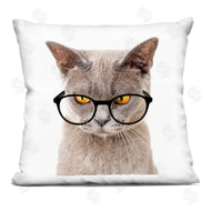 Karen Smith | Fun Cat Yellow Eyes Glasses
