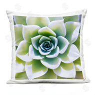 Irena Orlov | Green Succulent Close Up Gardening