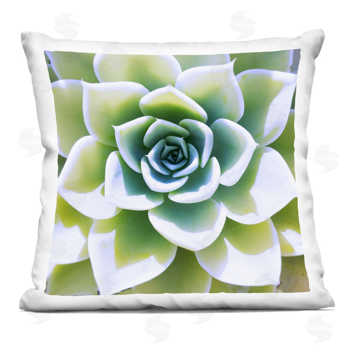 Green Succulent Close Up Gardening Decorative Printed Pillow, Home Decor by Irena Orlov