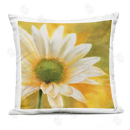 Pierre Viollet | Sunny Nature Daisy Flower