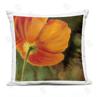 Pierre Viollet | Orange Poppy Flower Nature