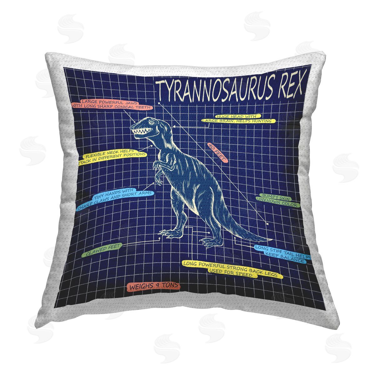 T-Rex Educational Dinosaur Diagram Outdoor Printed Pillow, Home Decor by Sangita Bachelet