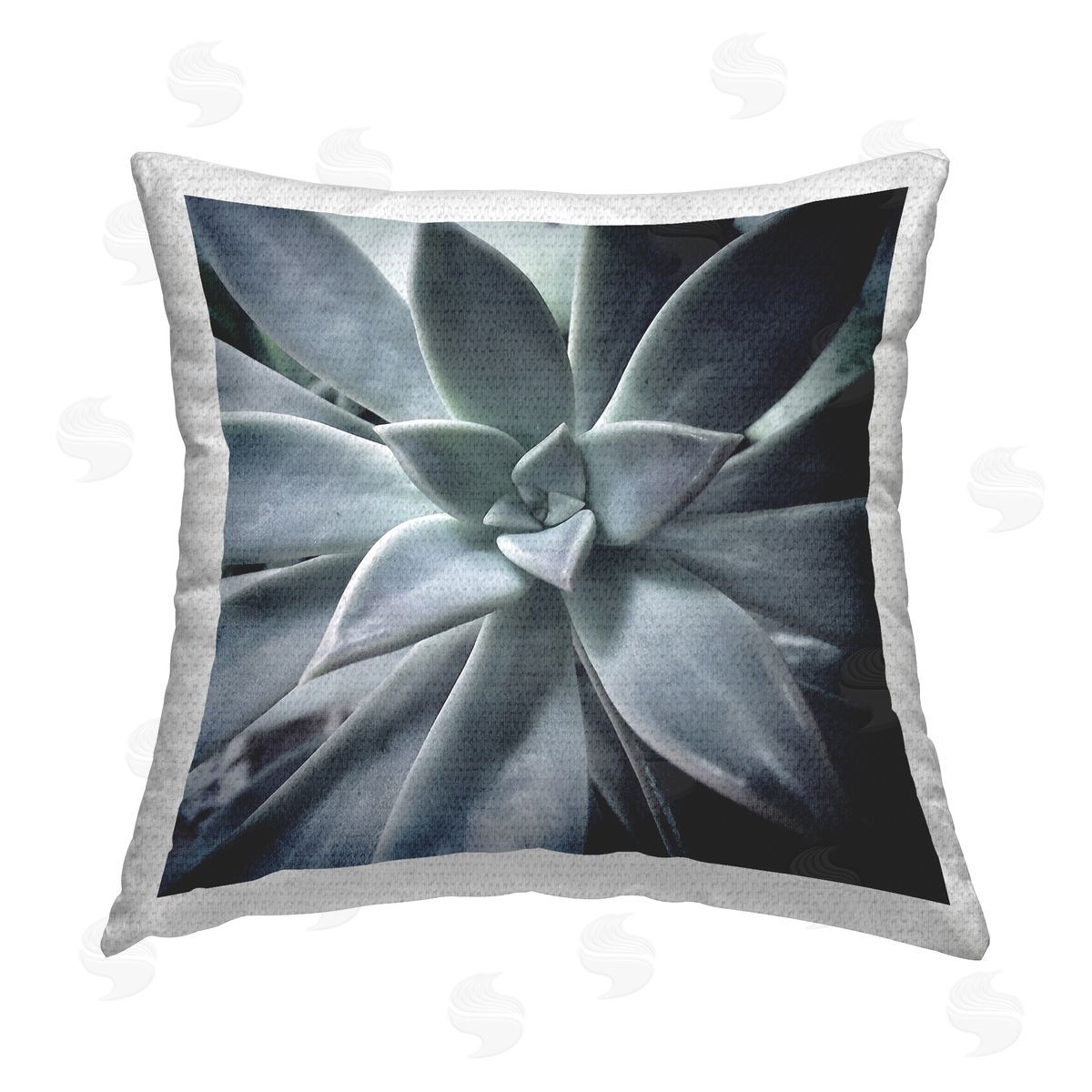 Botanical Succulent Plant Outdoor Printed Pillow, Home Decor by Jessica Manelis