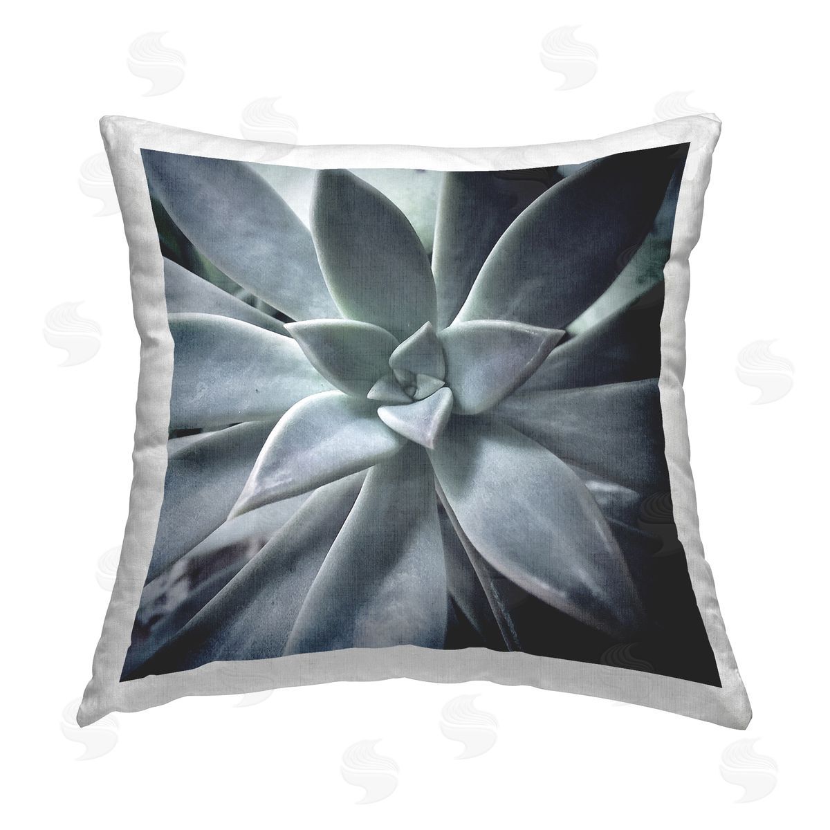 Botanical Succulent Plant Decorative Printed Pillow, Home Decor by Jessica Manelis