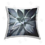 Jessica Manelis | Botanical Succulent Plant
