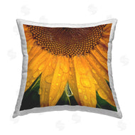 Gloria Palmer | Morning Dew Sunflower Petals