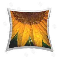 Gloria Palmer | Morning Dew Sunflower Petals