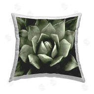 Lindsay Benson | Deep Green Succulent Plant Leaves
