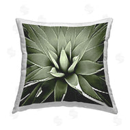 Lindsay Benson | Green Aloe Plant Sprouts Close Up