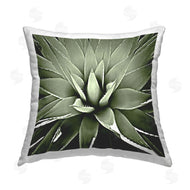 Lindsay Benson | Green Aloe Plant Sprouts Close Up