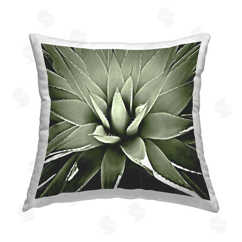 Lindsay Benson | Green Aloe Plant Sprouts Close Up