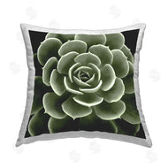 Lindsay Benson | Succulent Leaves Botanical Plant