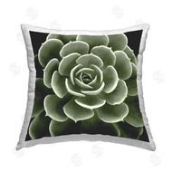 Lindsay Benson | Succulent Leaves Botanical Plant