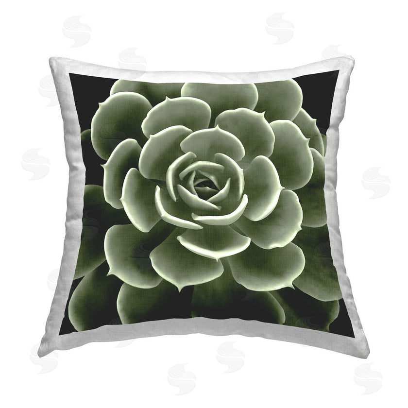 Lindsay Benson | Succulent Leaves Botanical Plant