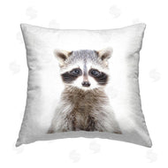 Katherin Pienaar | Baby Raccoon Face Wildlife Animal