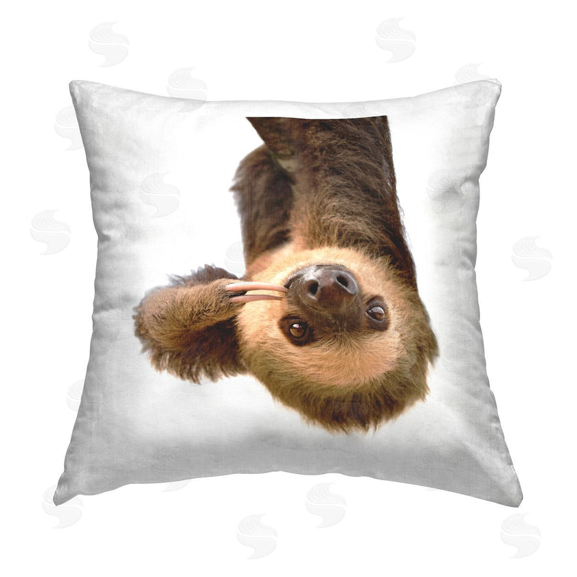 Katherin Pienaar | Funny Sloth Upside Down Wildlife