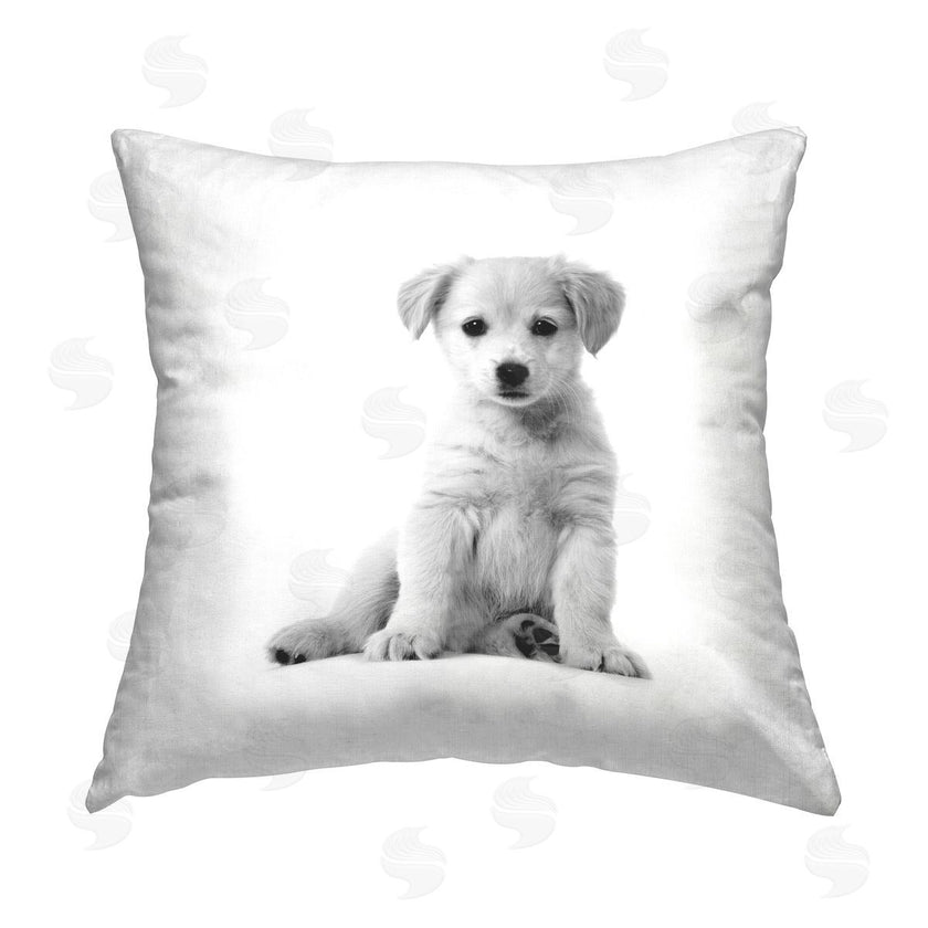 Elephant Stock | Minimal Retriever Puppy