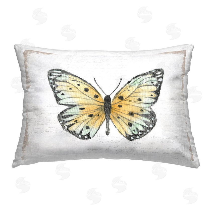 Janet Tava | Beautiful Butterfly on White