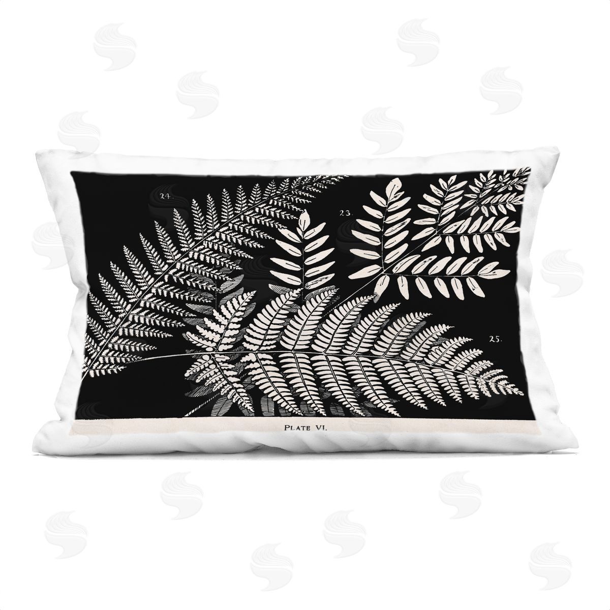 Phillipa Katz Fern Varieties on Black Plush Polyester Art Print Pillow