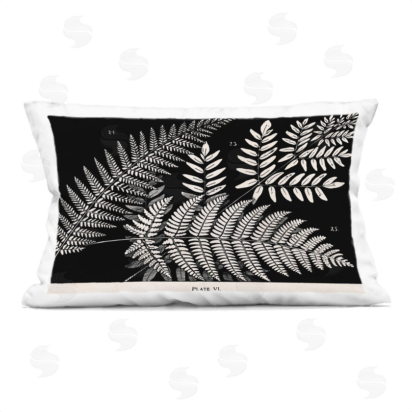 Phillipa Katz | Fern Varieties on Black