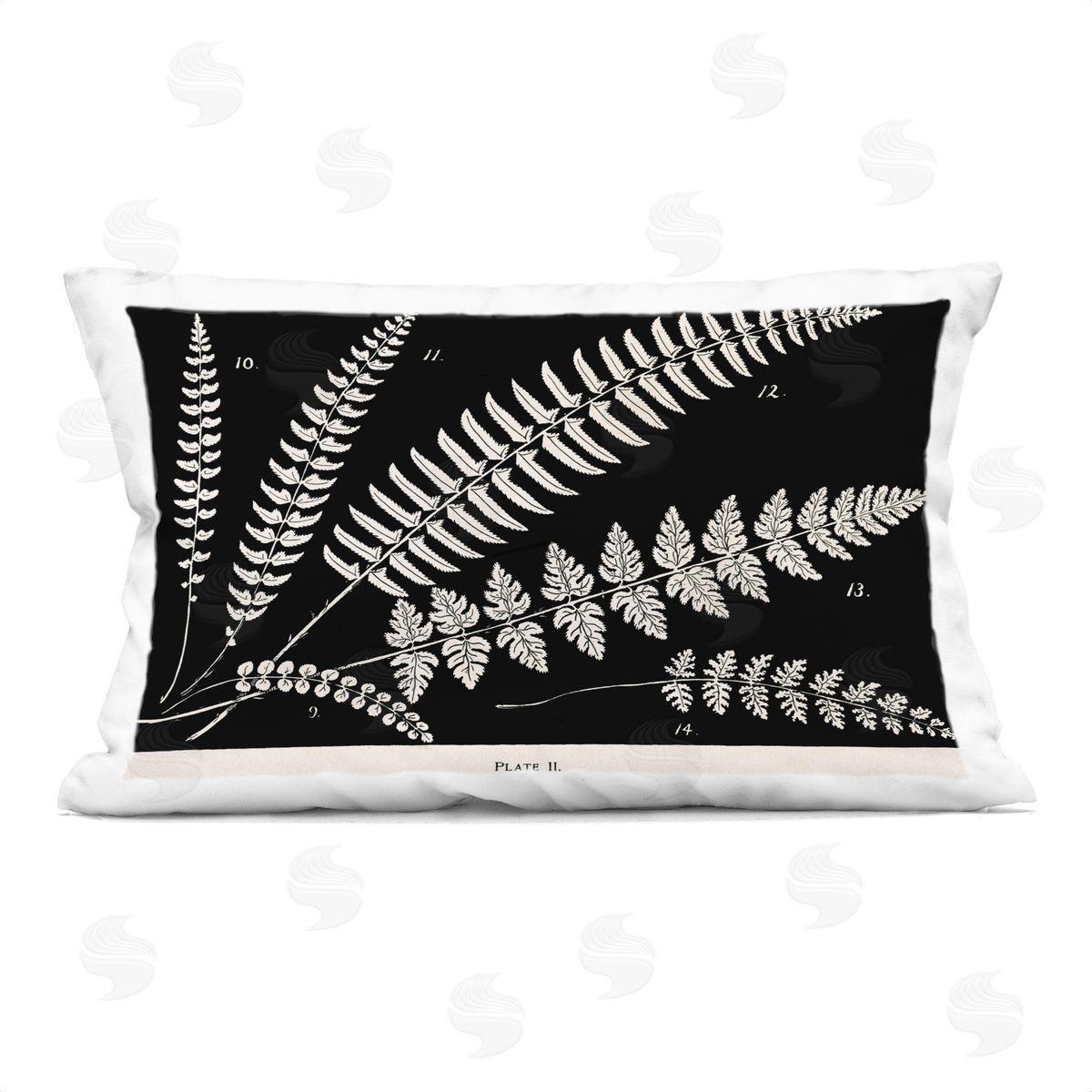 Phillipa Katz Fern Studies on Black Plush Polyester Art Print Pillow