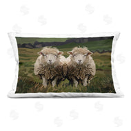 Amelia Noyes | Twin Sheep in Pasture