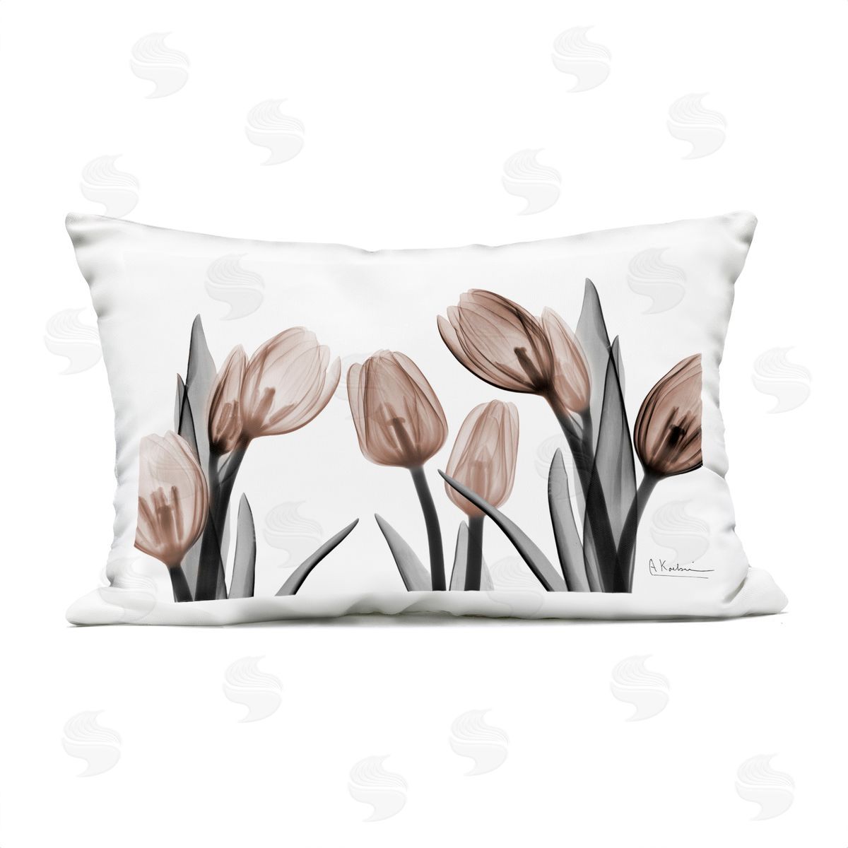 Albert Koetsier | Mocha & Discovery Tulips