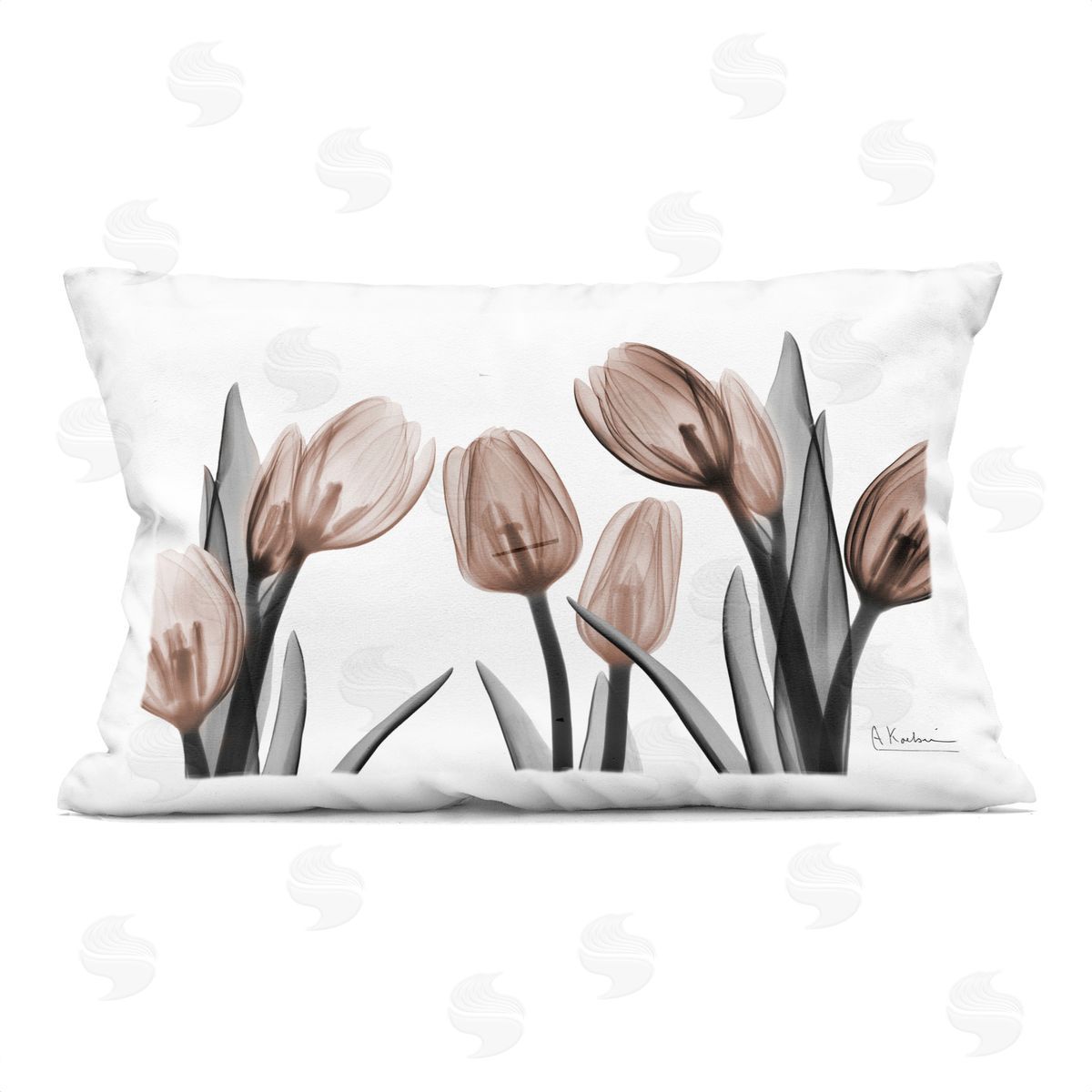Albert Koetsier | Mocha & Discovery Tulips