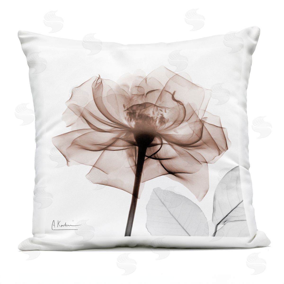Albert Koetsier | Minimal Mocha Rose