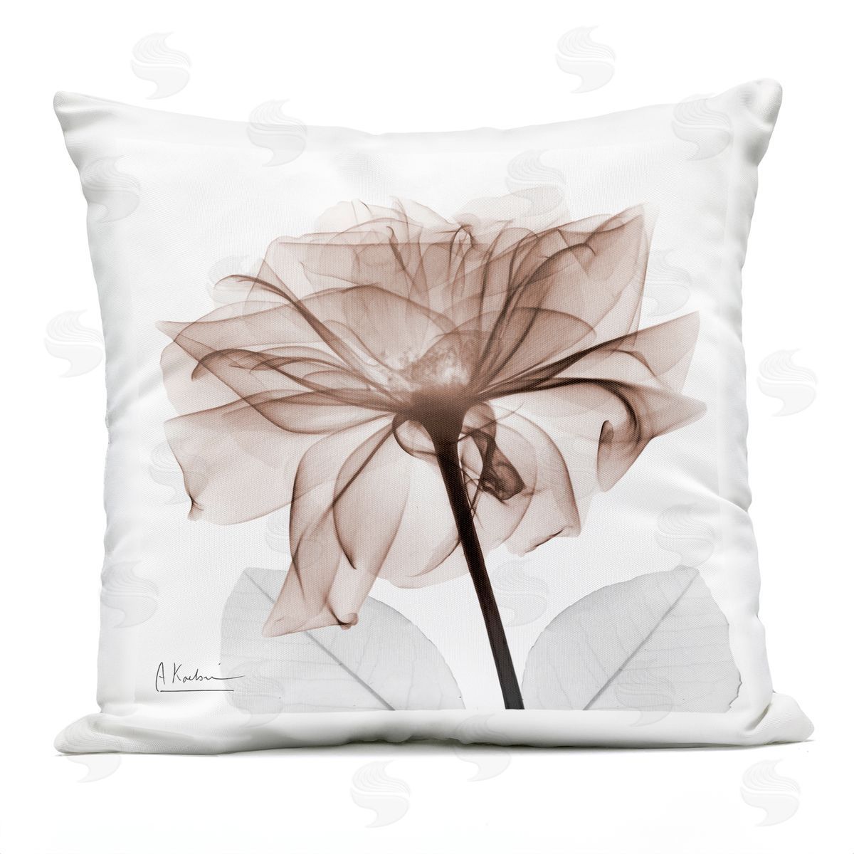 Albert Koetsier | Opaque Rose Blossom