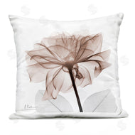 Albert Koetsier | Opaque Rose Blossom