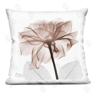 Albert Koetsier | Opaque Rose Blossom