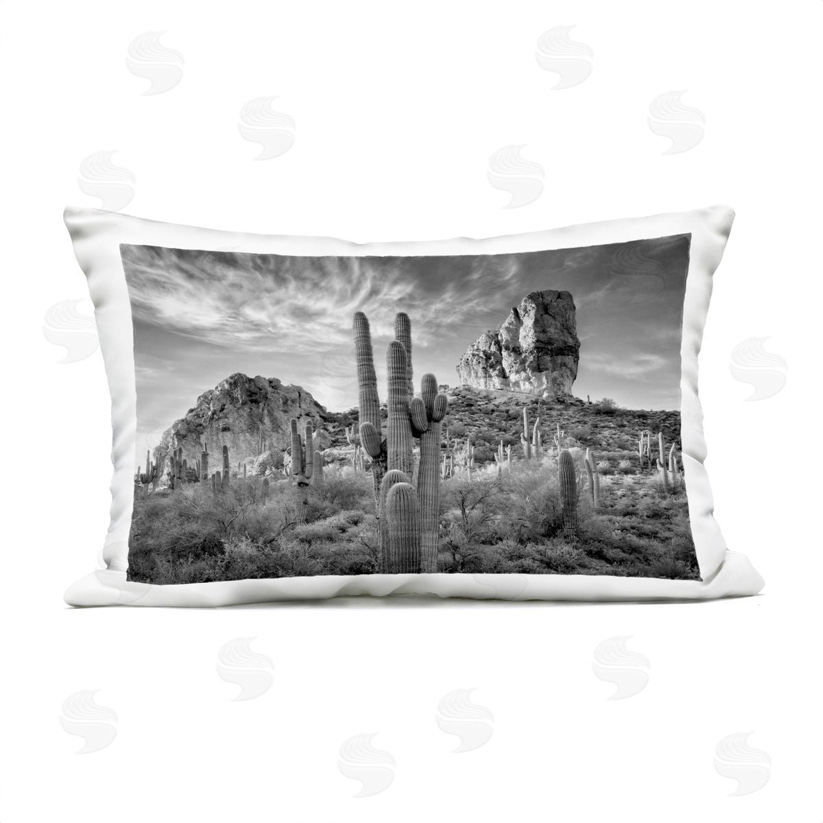 David Drost | Looming Cacti & Canyon View