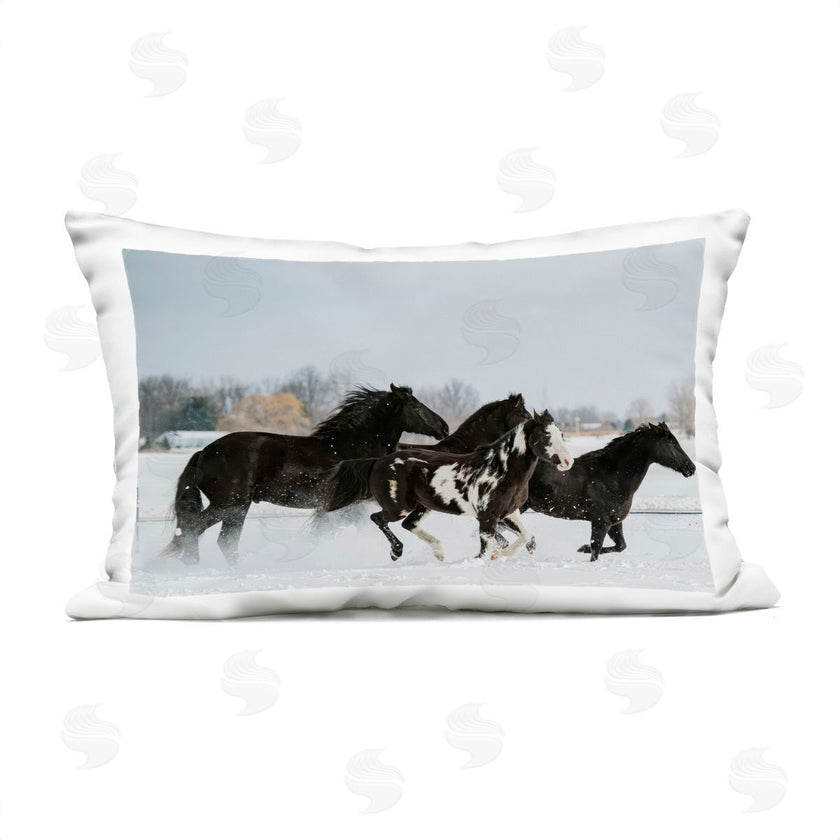 Amy Carroll | Winter Herd of Horses
