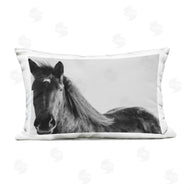 Amy Carroll | Black Horse in Winter