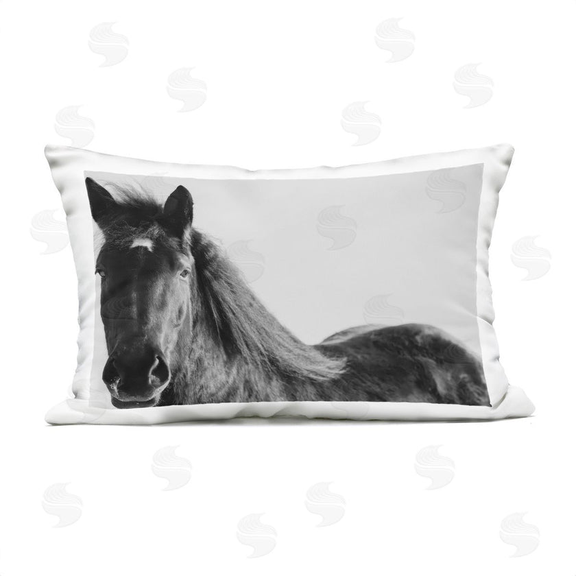 Amy Carroll | Black Horse in Winter