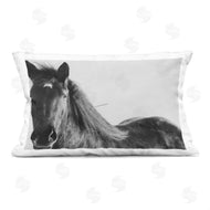 Amy Carroll | Black Horse in Winter