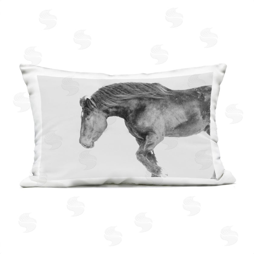 Amy Carroll | Winter Stallion Gallop