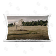 Marcus Prime | Galloping Through Field Horse