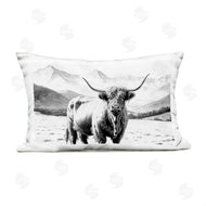 Kim Allen | Highland Sketch Cattle Portrait