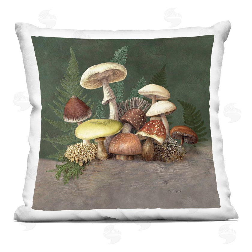 Tim Coffey | Mushrooms and Ferns Nature